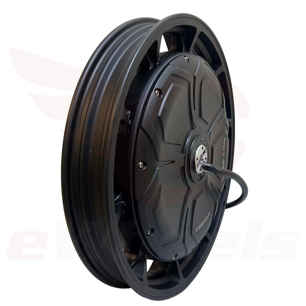 Bomes Electric 2ch歪み　Sir Gains-A-Lot Lynx-S Motor Assembly, 3,800W